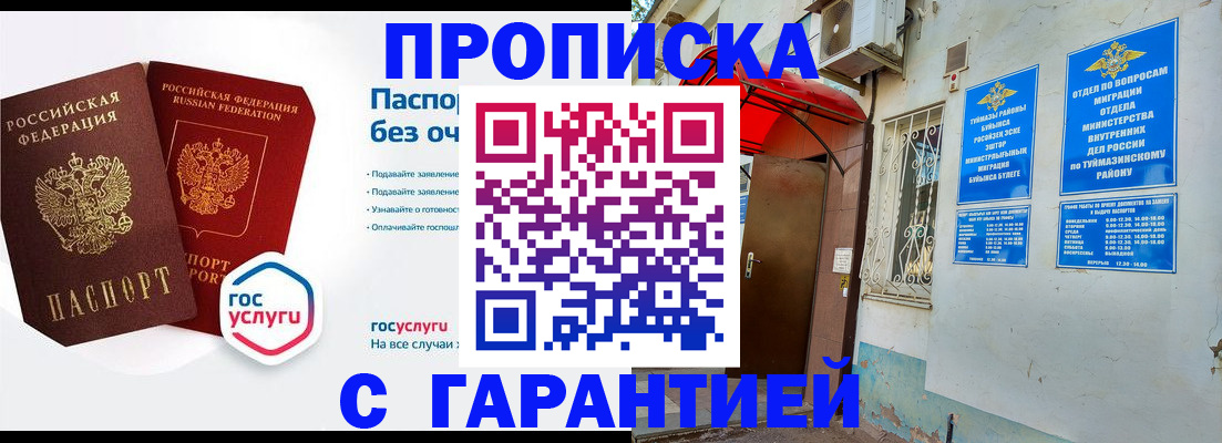 прописка законно в Бийске